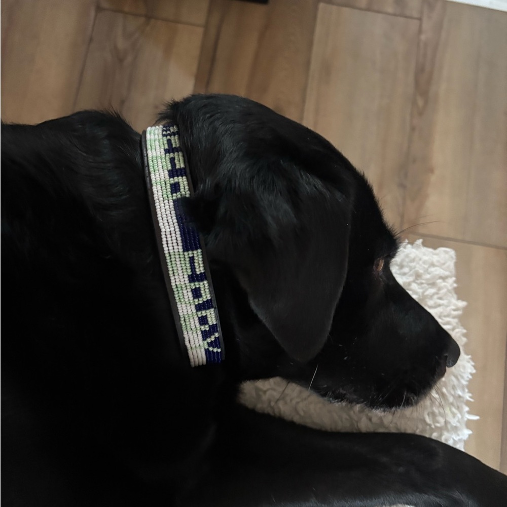 Deep Eddy beaded dog collar